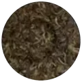 Dry leaf of 7 sons