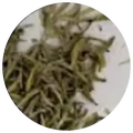 Dry leaf of Bai hao yin zhen
