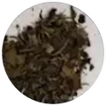 Dry leaf of Bai mu dan wild