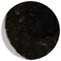 Dry leaf of Black diamond