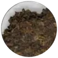 Dry leaf of Da xue shan gu shu