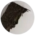 Dry leaf of DHP fu cha with golden mushroom jin hua