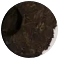 Dry leaf of Long yuan hao menghai