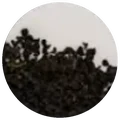 Dry leaf of Oolong red