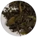 Dry leaf of Shou mei bai cha wild
