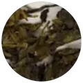 Dry leaf of Shui xian Yellow