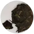 Dry leaf of Volcanic