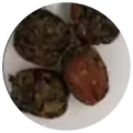 Dry leaf of White tea with dates