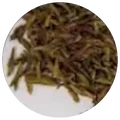 Dry leaf of Ya bao