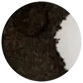 Dry leaf of Yi wu qi zi bing