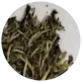 Dry leaf of Yue guan bai tie ji